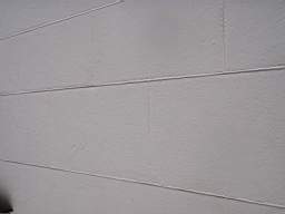 christchurch - 3910.jpg